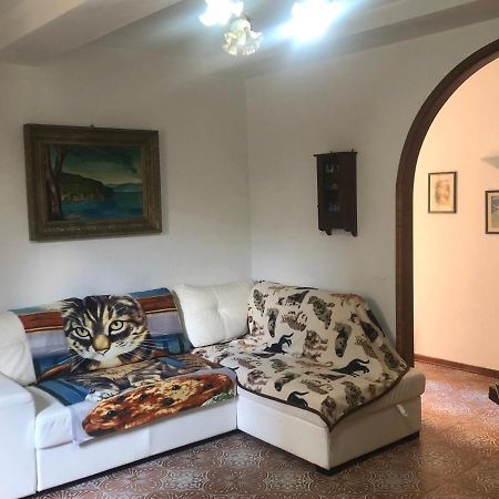 Casa di NELLA Apartment Campiglia Marittima Bagian luar foto